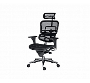 Ergohuman office chair