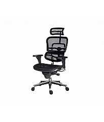 Ergohuman office chair